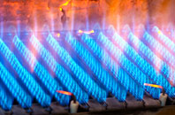 Birchden gas fired boilers